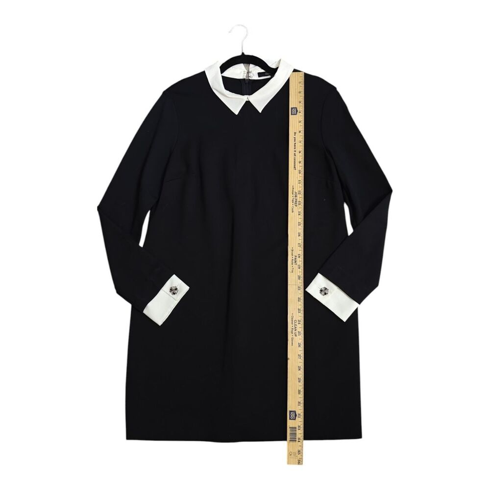 Cynthia Steffe Black Shift Dress with White Pointed Collar and Cuffs - Picture 6 of 8